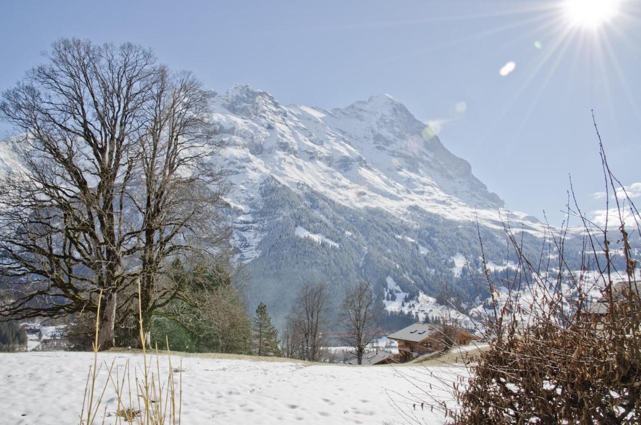 Apartment Nussbaum - GRIWA RENT AG Grindelwald Exterior foto